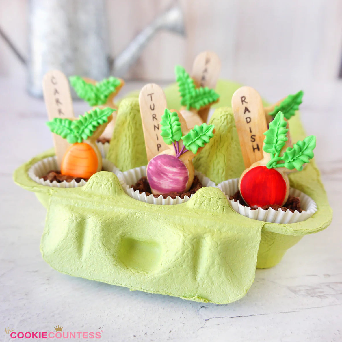 Multicolor Egg Cartons